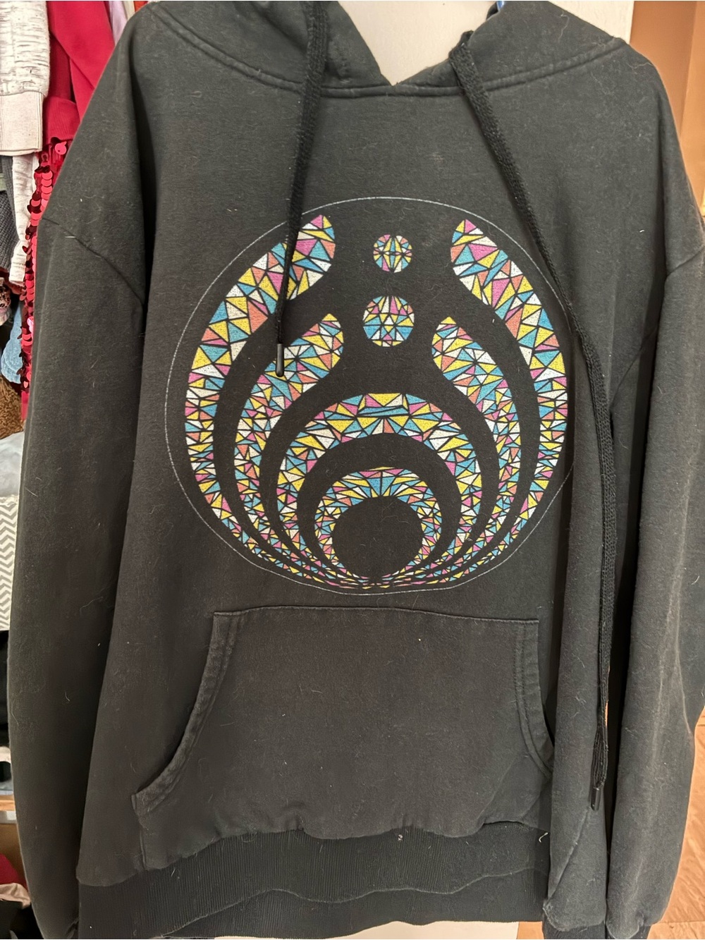 Bassnectar Hoodie L